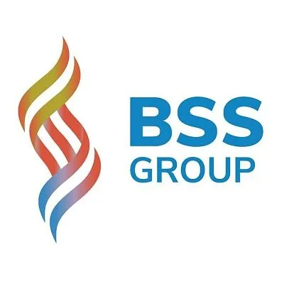 BSS group