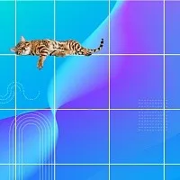 Банки предпочитают дисциплинированных