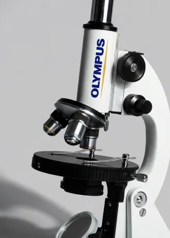 Olympus: Маркировка в&nbsp;Microsoft DAX за&nbsp;2 месяца