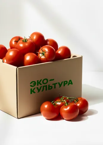 ЭКО-Культура: 40 млн. рублей экономии