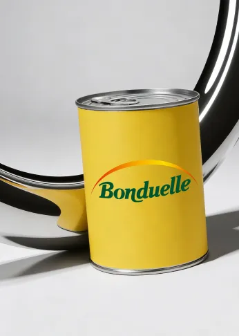 Бондюэль: Импортозамещение для аналитики