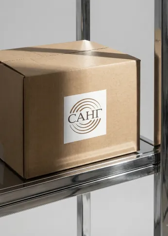 &laquo;САНГ&raquo;: аудит складских операций