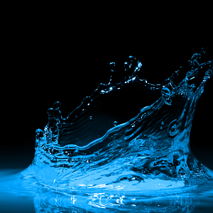 «КОРУС Консалтинг» подготовил «ДЖИЛЕКС» к переходу на 1С:WMS