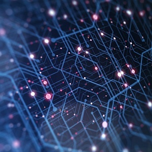 Парадокс торговли: почему на фоне бума e-commerce умирают нишевые маркетплейсы