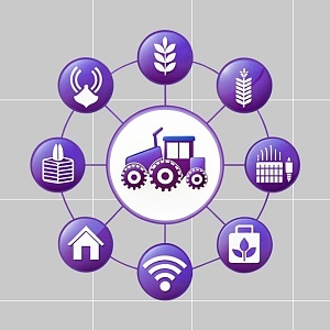 ГК «КОРУС Консалтинг» проводит исследование, посвященное ИТ-трендам в АПК