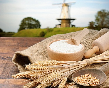 Петербургский Мельничный Комбинат