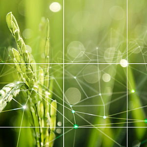 Логистика АПК: проблемы и решения