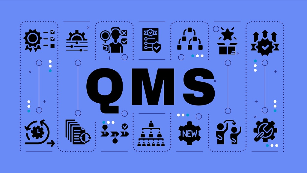 QMS‑система