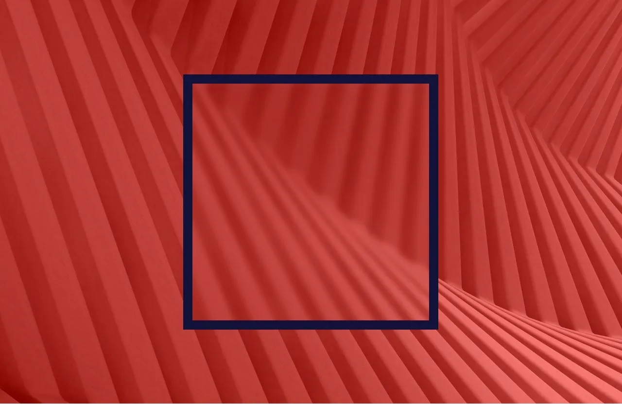 Путь ИT–специалиста: с нуля до топ-лидера