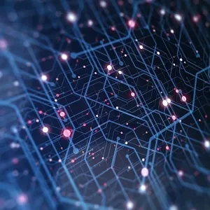 Парадокс торговли: почему на фоне бума e-commerce умирают нишевые маркетплейсы